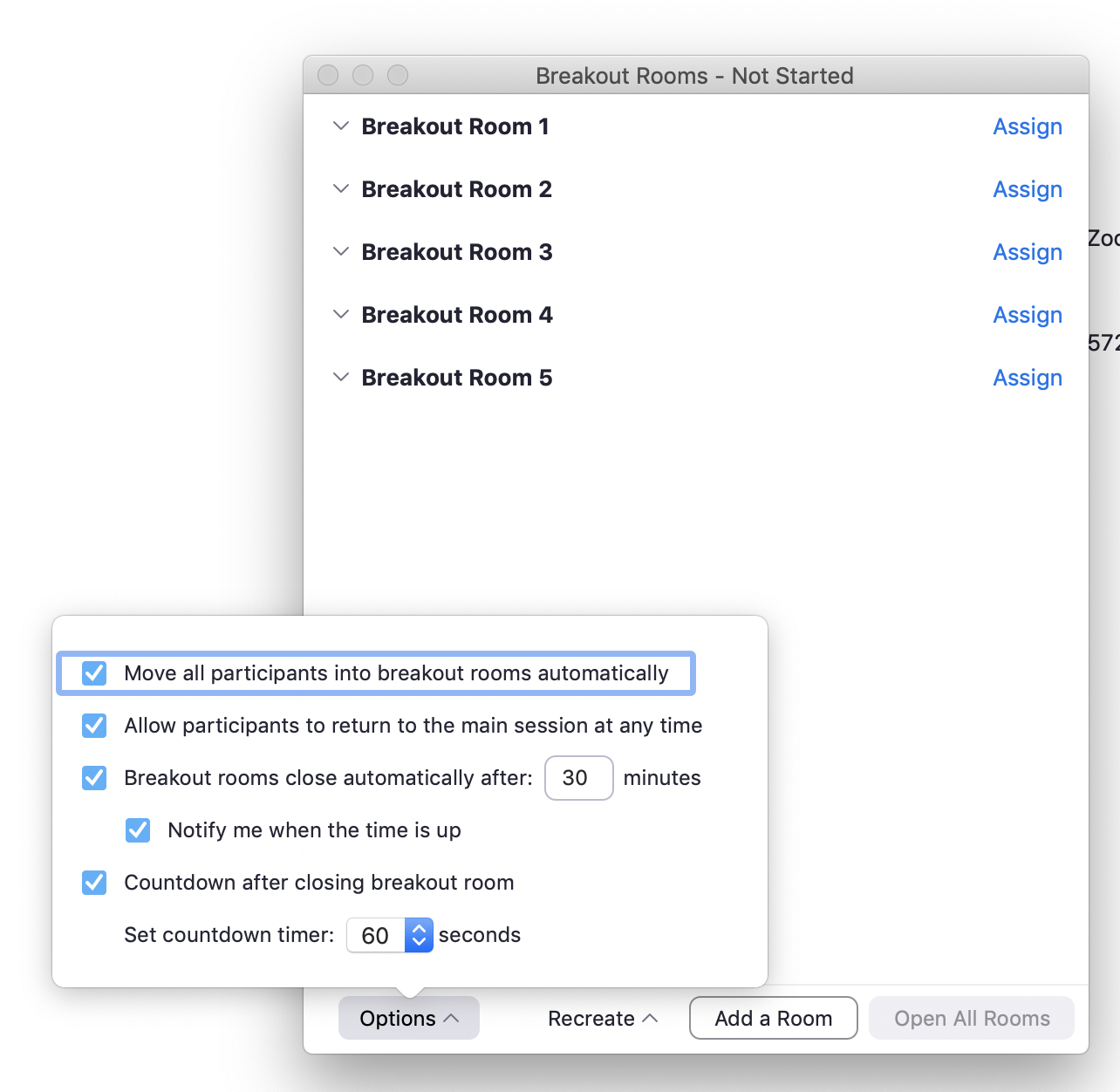 assign to breakout rooms zoom