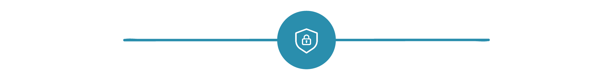 SC_DataSecurity.png